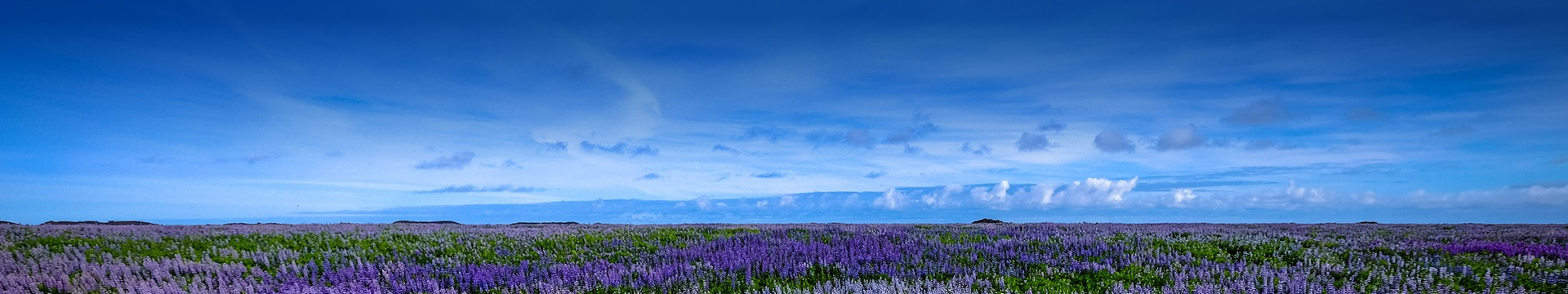 泸州状元山公墓